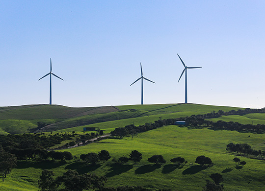 3 wind turbines on a lush green hill.